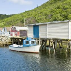 Petty Harbour 1 hotel