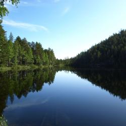 Petäjävesi 12 holiday rentals