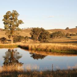 Yarra Junction 7 hotels with parking