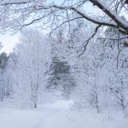 Söderfors 3 hotely s parkováním