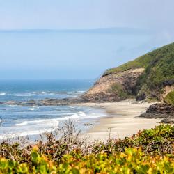 Seal Rock 15 hotelů