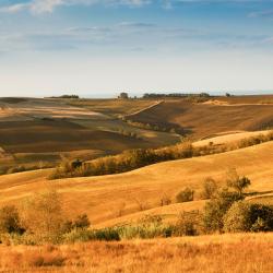 Campiglia Marittima 7 farm stays