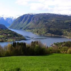 Ulvik 4 cottages