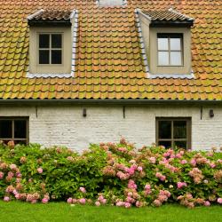 Grimbergen 7 holiday rentals