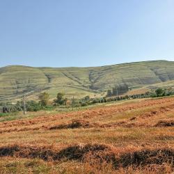 Yavneʼel 7 holiday rentals