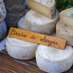 Grande-Synthe 3 hoteles que aceptan mascotas