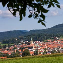 Waldmünchen 30 hoteluri