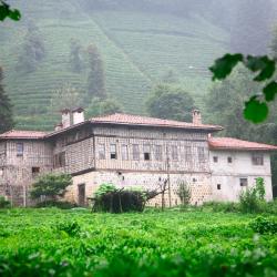 Rize 6 bungalows