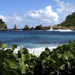 Basse-Terre 14 of the villas