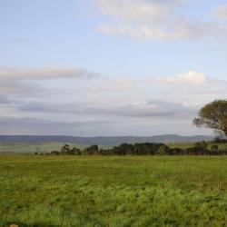 Middelburg 38 bed & breakfast
