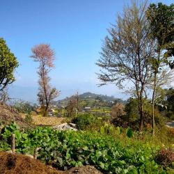 Dhulikhel 6 of the homestays