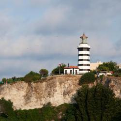 Sile 27 pet-friendly hotels