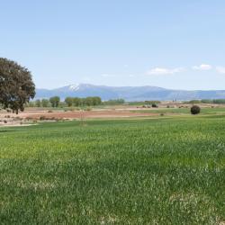 Muro de Alcoy 4 hotely