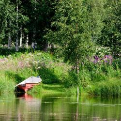 Wishaw 4 alojamientos con cocina