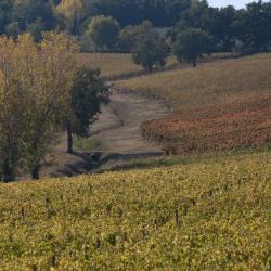 Montefalco 3 3-star hotels