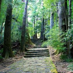 Katsuura 5 hotels with parking