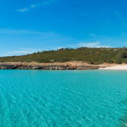 Ses Salines 63 hoteles