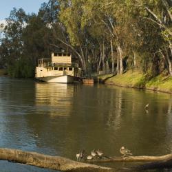 Wodonga 28 hotelů