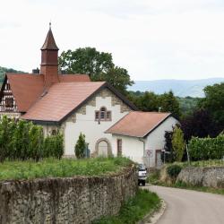 Ingelheim am Rhein 17 cheap hotels
