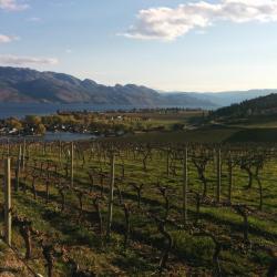 West Kelowna 25 khách sạn