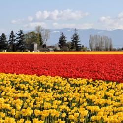 Mount Vernon 22 khách sạn