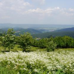 Зеленець 13 готелів