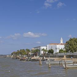 Lesina 42 hotels