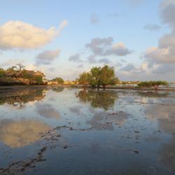 Wasini 3 hotels