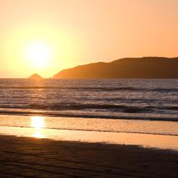 Paraparaumu Beach 4 motels