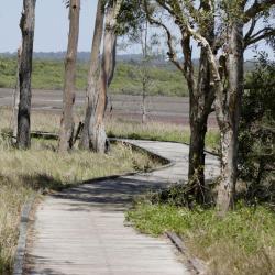 Carrum Downs 3 hoteles