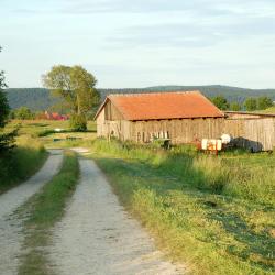 Waldkirch 13 hoteli