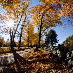 Torrington 3軒のアパートメント