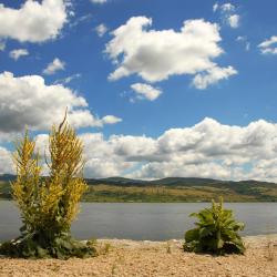 Sremski Karlovci 27 holiday rentals