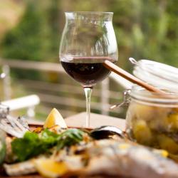 Pauillac 3 ξενώνες