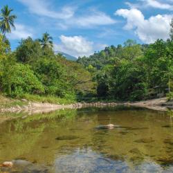 Thung Yai 1 khách sạn