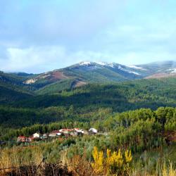 Pedrógão Grande 10 villas