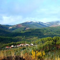 Pedrógão Grande 12 villas