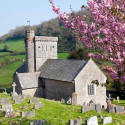 Branscombe 4 holiday rentals