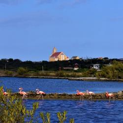 Willibrordus 35 hotels