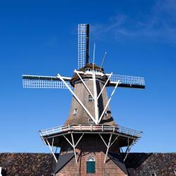 Borger 3 hoteles que aceptan mascotas