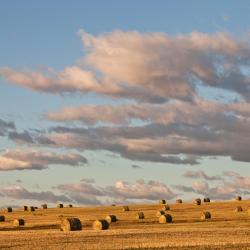 Okotoks 6 hotels with parking