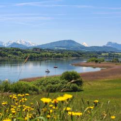 Seekirchen am Wallersee 3 glampings