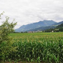 Wattens 6 ski resorts