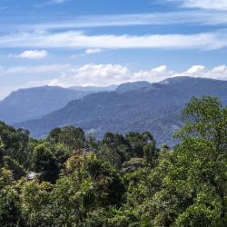 Ramboda 5 hoteles con estacionamiento