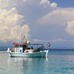 Plataria 44 beach rentals