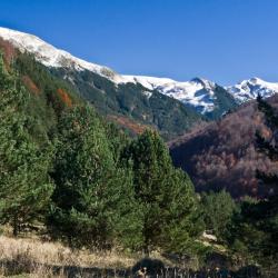 Roncesvalles 4 hotels with parking