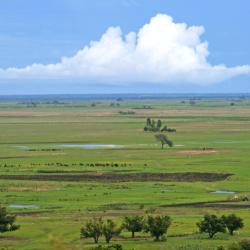 Mongu 3 hotels with parking