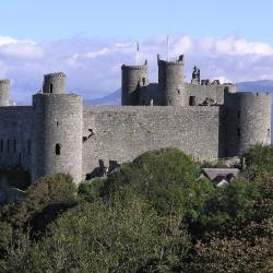 Harlech 3 guest houses