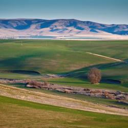 Hermiston 9 hotels