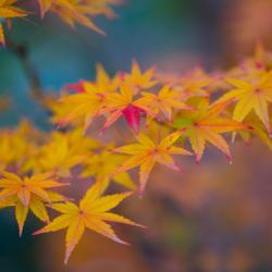Dazaifu 30 hotels with parking